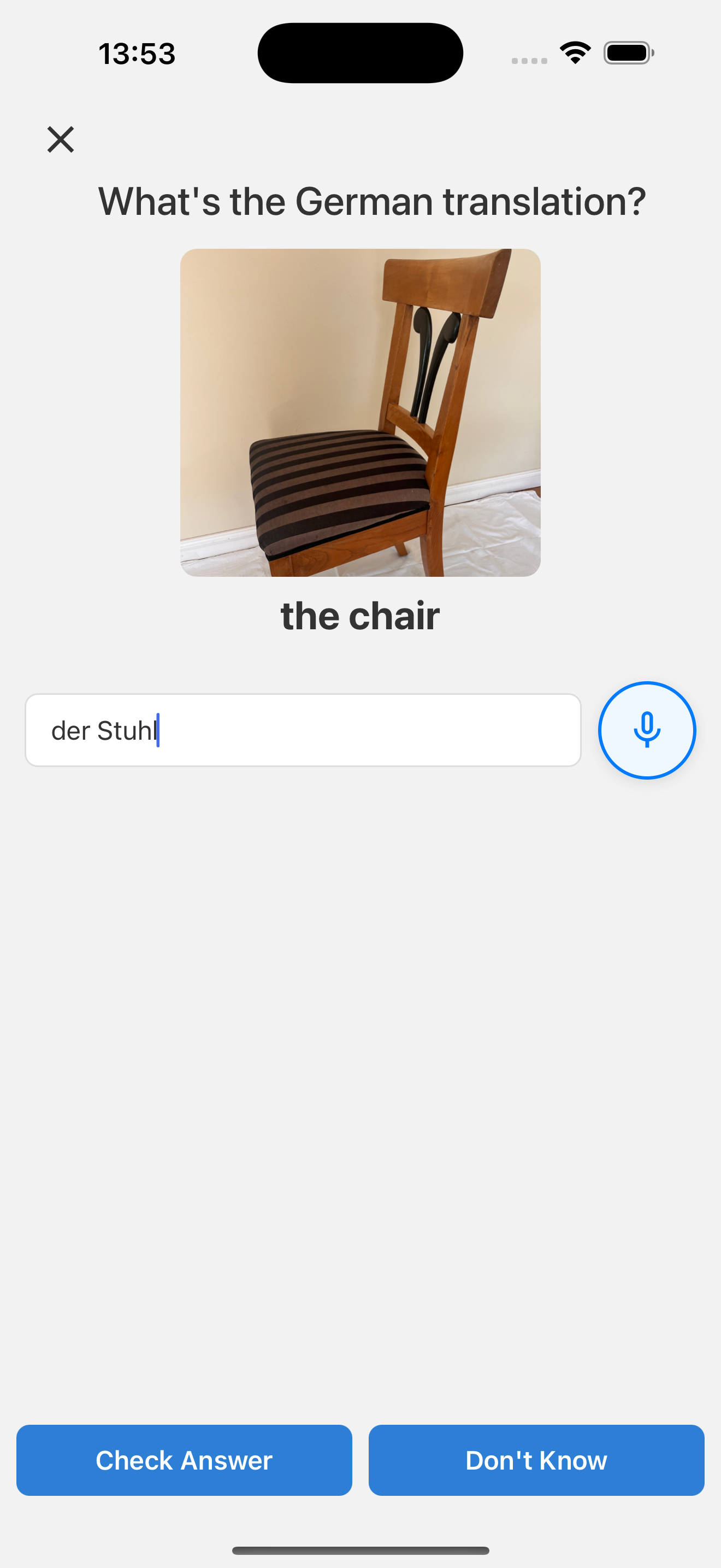 LingoCam Capture Screen